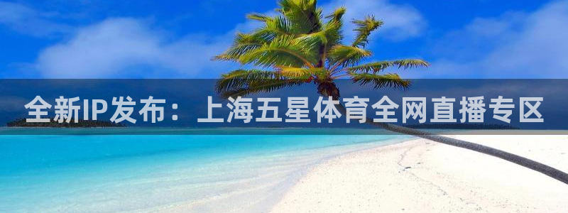 河豚体育nba直播下载：全新IP发布：上海五星体育全网直播专区
