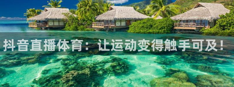 河豚体育在线直播nba：抖音直播体育：让运动变得触手可及！