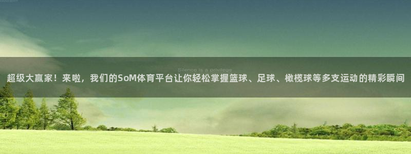 河豚nba体育直播