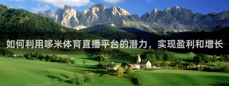 nba直播河豚：如何利用哆米体育直播平台的潜力，实现盈利和增长