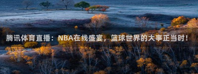 河豚直播体育直播：腾讯体育直播：NBA在线盛宴，篮球世界的大事正当时！