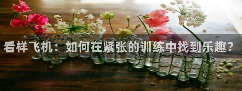 河豚nba直播在线直播：看样飞机：如何在紧张的训练中找到乐趣？