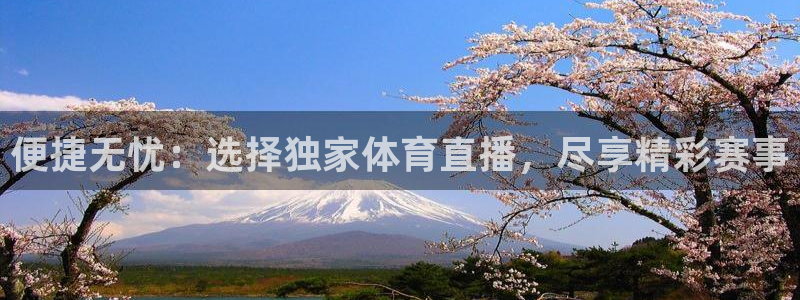 河豚体育篮球直播：便捷无忧：选择独家体育直播，尽享精彩赛事