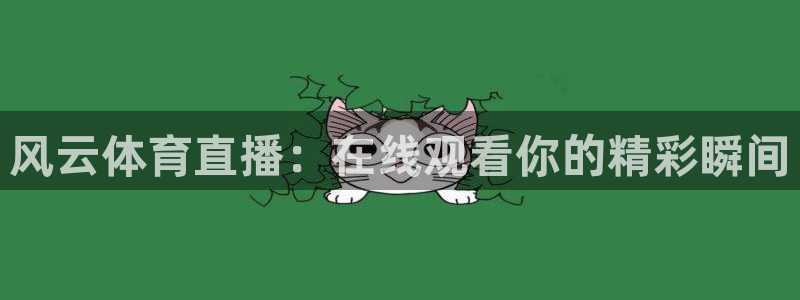 河豚足球直播：风云体育直播：在线观看你的精彩瞬间