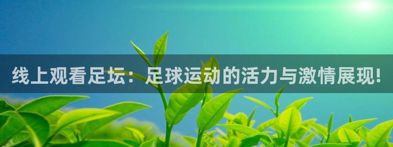河豚nba篮球直播在线观看：线上观看足坛：足球运动的活力与激情展现!