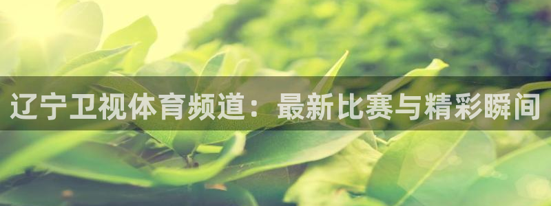 河豚免费nba在线直播：辽宁卫视体育频道：最新比赛与精彩瞬间