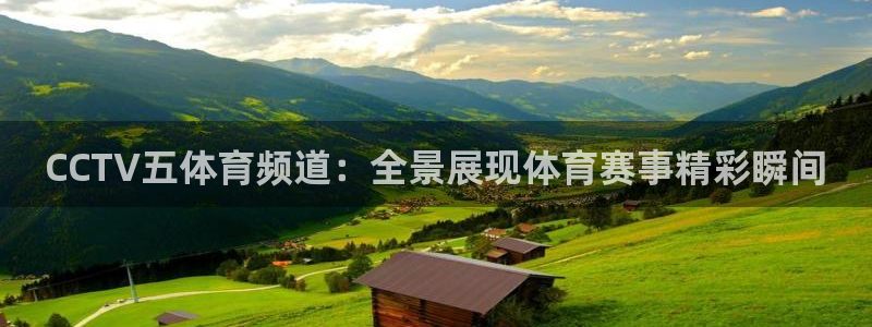 nba直播 河豚：CCTV五体育频道：全景展现体育赛事精彩瞬间