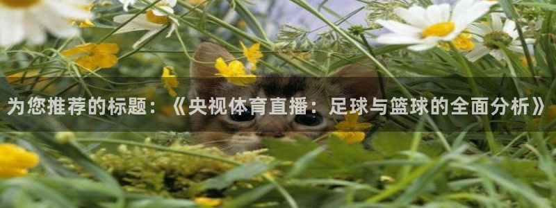 河豚直播在线看球：为您推荐的标题：《央视体育直播：足球与篮球的全面分析》