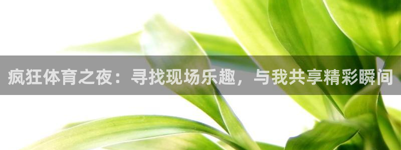 河豚体育直播官网：疯狂体育之夜：寻找现场乐趣，与我共享精彩瞬间