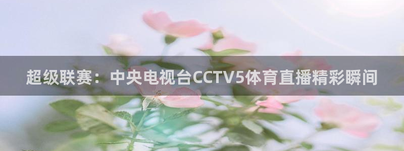 河豚体育：超级联赛：中央电视台CCTV5体育直播精彩瞬间