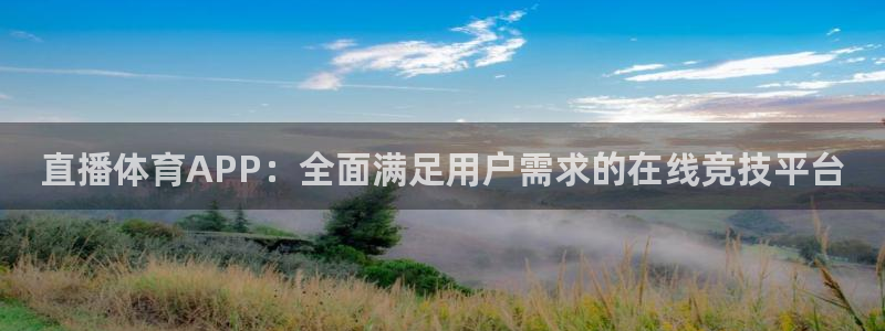 河豚篮球直播：直播体育APP：全面满足用户需求的在线竞技平台